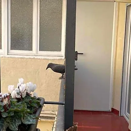 Barri Vell 4 Apartment *